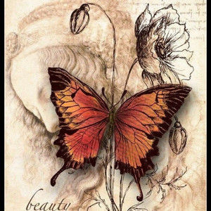 Meet your Posher, Ray